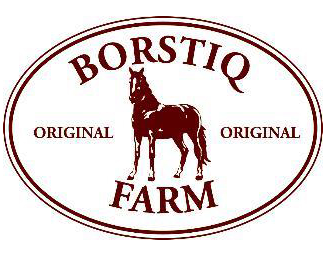 Borstiq