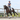 Equilibrium Stretch & Flex Flatwork Wraps - Equinics