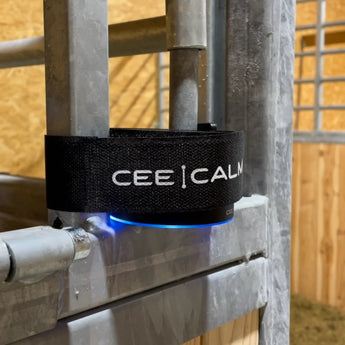 CeeCalm