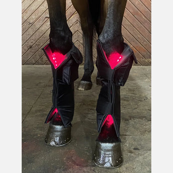 Equine LTS Pad NEW Red Edition Duo-pack