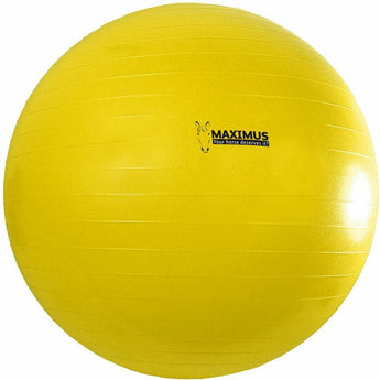 Maximus Power Play Ball - Equinics