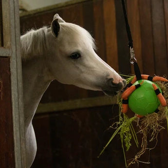 Maximus Fun Play Ball - Equinics