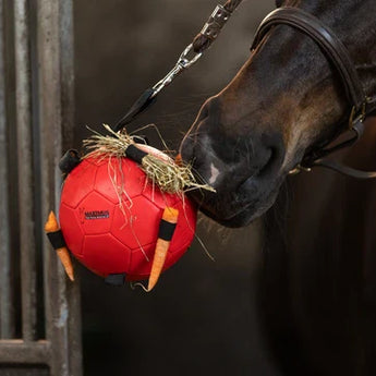 Maximus Fun Play Ball - Equinics