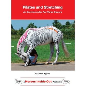 Pilates and Stretching - Equinics