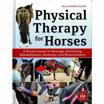 Physical Therapy for Horses - Equinics