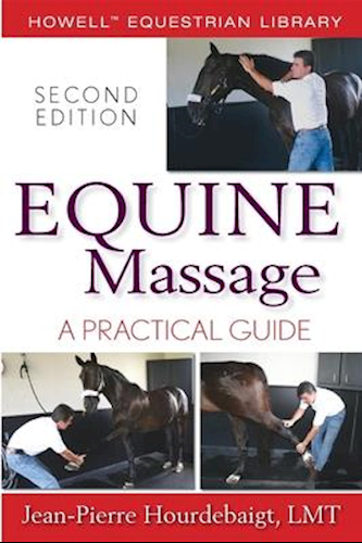 Physical Therapy for Horses - Equinics