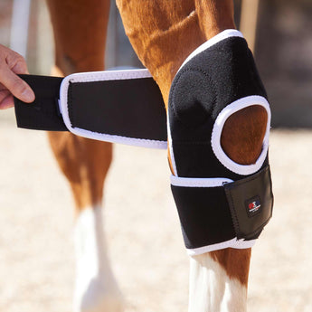 Premier Equine Magneet Hakbeschermers - Equinics