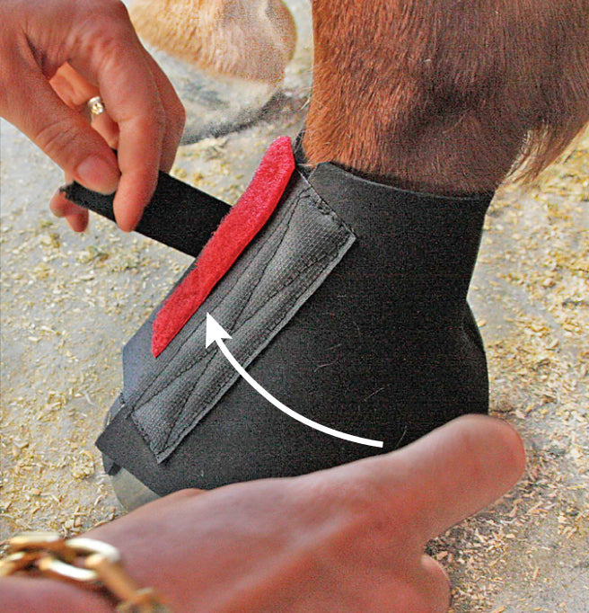 Cavallo Pastern Wraps - Equinics