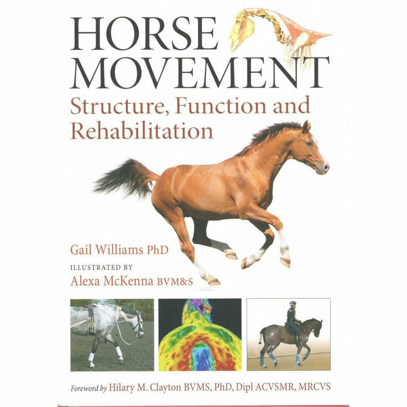 Physical Therapy for Horses - Equinics